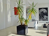 Ein, Zwei- oder Dreifamilienwohnhaus mit großem Grundstück 10