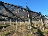 Obstwiese von 4700 m2 zu verkaufen 7