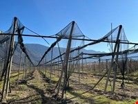 Obstwiese von 4700 m2 zu verkaufen 5