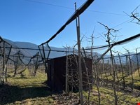 Obstwiese von 4700 m2 zu verkaufen 3
