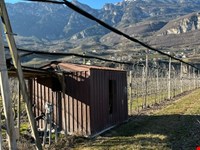 Obstwiese von 4700 m2 zu verkaufen 4
