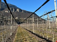 Obstwiese von 4700 m2 zu verkaufen 2