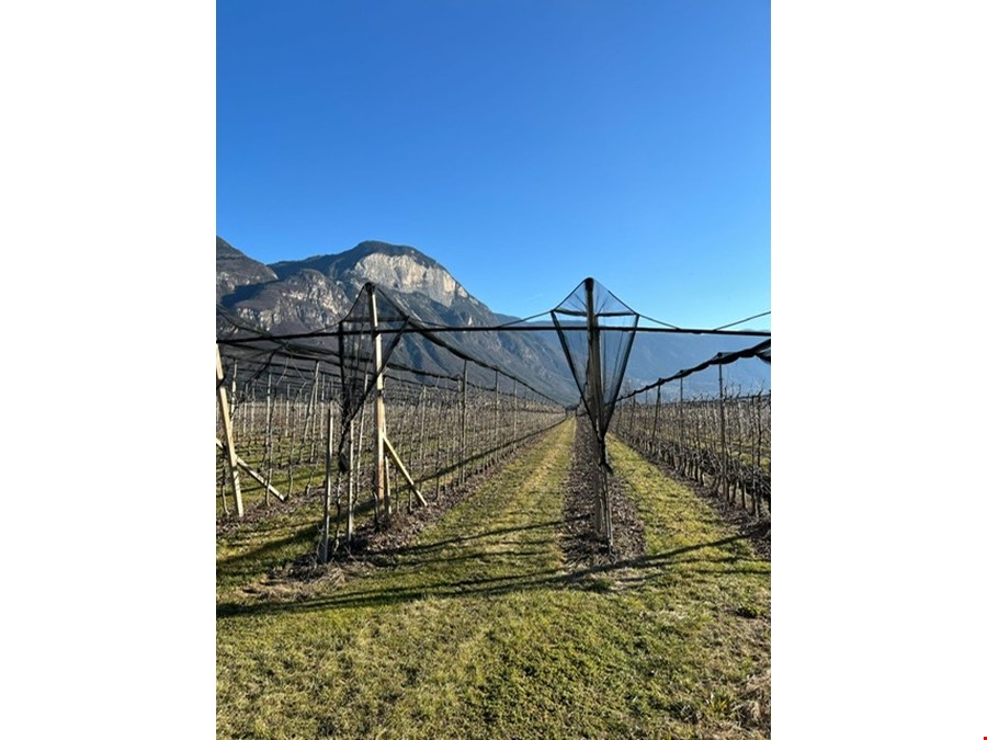 Obstwiese von 4700 m2 zu verkaufen Obstwiese von 4700 m2 zu verkaufen