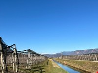 Obstwiese von 4700 m2 zu verkaufen 8