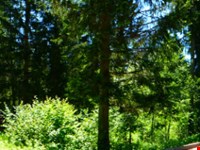 Traumhafter Baugrund für eine Villa zu verkaufen. 1