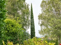 Einzigartiges Haus im Grünen in Kaltern zu verkaufen 4