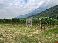 Tramin - Weingut ca. 4.712 m² zu verkaufen 2