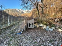 Obstwiese mit Maschinenraum in Kaltern zu verkaufen 2