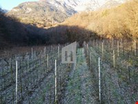 Obstwiese mit Maschinenraum in Kaltern zu verkaufen 5