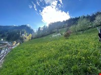 Scheune, Stall, Heulager, Obstgarten, Wiesen, Weiden, Wald, 14.500 qm 2