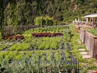 Exklusivverkauf: Biohotel Pennhof in Barbian 3