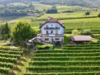 Exklusivverkauf Haus in Panoramalage mit Weinbau 1