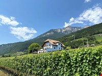 Exklusivverkauf Haus in Panoramalage mit Weinbau 8