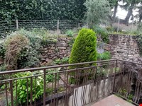 Neusanierte, sehr schöne 2-Zimmerwohnung mit Balkon zu vermieten 8
