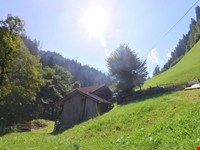 Ein Leben wie früher – Der Traum vom Selbstversorgerhof 6