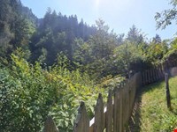 Ein Leben wie früher – Der Traum vom Selbstversorgerhof 2