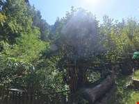 Ein Leben wie früher – Der Traum vom Selbstversorgerhof 4