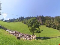 Ein Leben wie früher – Der Traum vom Selbstversorgerhof 7