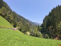 Ein Leben wie früher – Der Traum vom Selbstversorgerhof 8