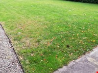 5-Zimmerwohnung mit Garten zu vermieten 2