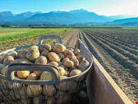 Kulturgrundstück – ein Ort voller Ruhe, Sonne und Möglichkeiten 1