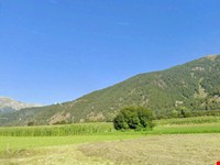 Kulturgrundstück – ein Ort voller Ruhe, Sonne und Möglichkeiten 3