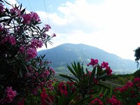 Gemütliches Monolokal bis 31. Oktober 2026 zu vermieten 3