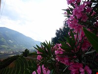 Gemütliches Monolokal bis 31. Oktober 2026 zu vermieten 2