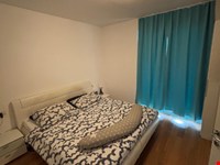 Gepflegte u. möblierte 3-ZWG, Terrasse, Balkon, Garage zu vermieten! 10