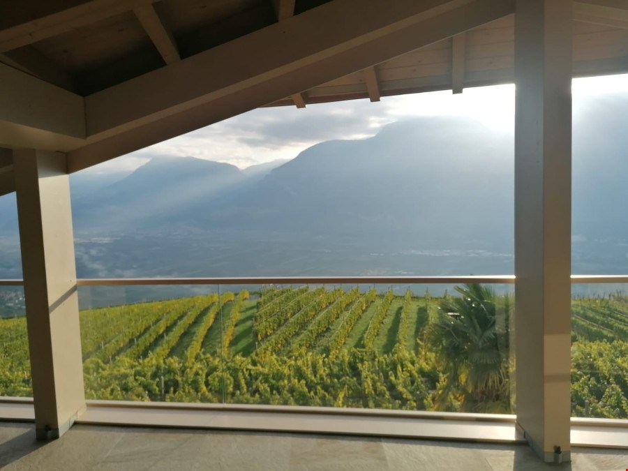 Wohnen über den Weinbergen – Panoramawohnung zum Verlieben