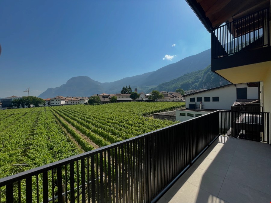 Neue sehr schöne 2-Zimmerwohnung mit Balkon und Garagenparkplatz