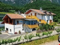 Exklusives Mehrfamilienhaus mit vier Wohneinheiten und Obstbau 2