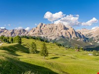 Almhütte mit Refugiums Charakter und traumhaftem Almgrundstück 2