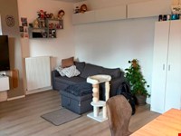 2 - Zimmer mit Balkon zu vermieten 7