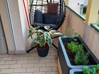 2 - Zimmer mit Balkon zu vermieten 10