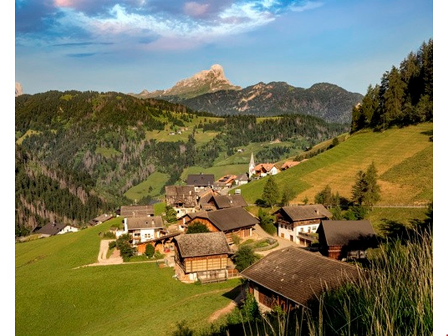 Wohnhaus mit Stall, Scheune und großzügigen Landwirtschaftsflächen