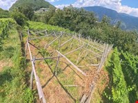 Weinberg in der Umgebung von Prissian – Ideal für Hobbywinzer 5