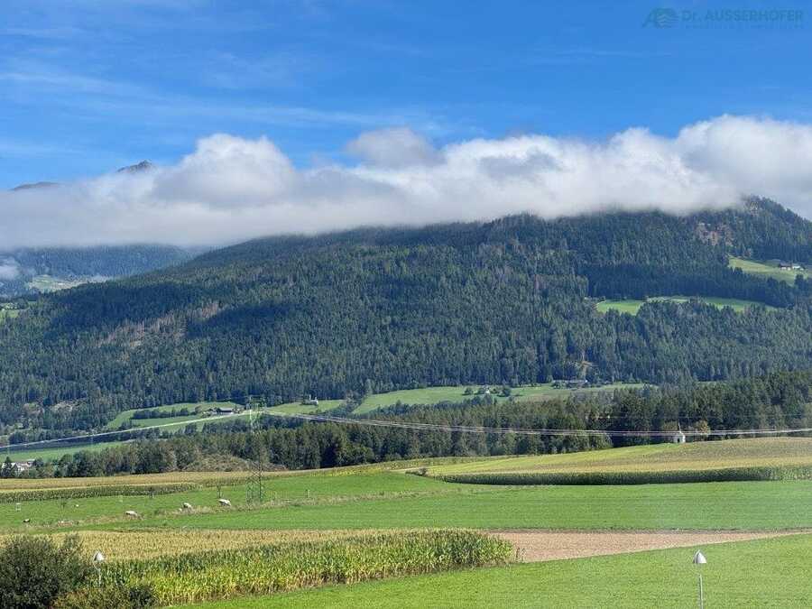 Dreizimmerwohnung im letzten Stock mit Blick ins Grüne in zentraler L 3