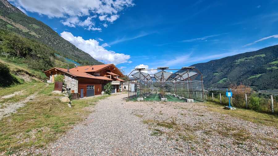 Geschlossener Hof in wunderbarer Lage - Das Leben ist ein Ponyhof 3