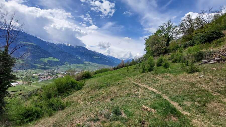 Geschlossener Hof in wunderbarer Lage - Das Leben ist ein Ponyhof 8