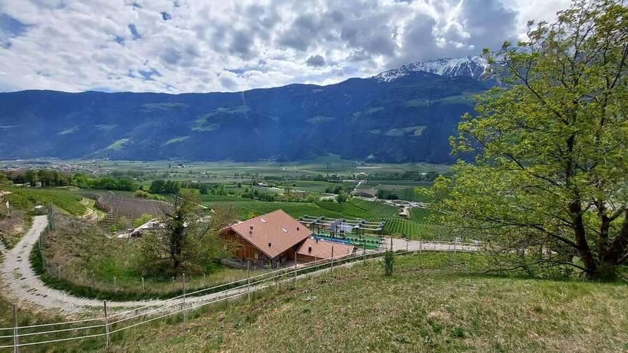 Geschlossener Hof in wunderbarer Lage - Das Leben ist ein Ponyhof 9