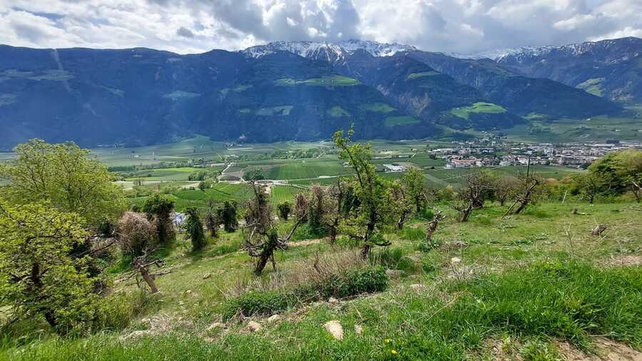 Geschlossener Hof in wunderbarer Lage - Das Leben ist ein Ponyhof 10