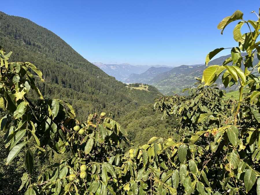 Baugrund in Panoramalage